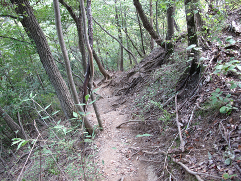 20151006hike (278)